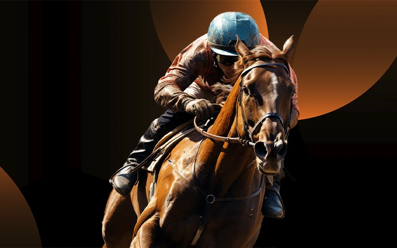 Back your favorite thoroughbred at FairPlay and chase some big payouts.