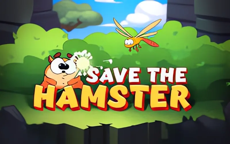 Register your profile and try your hand at Save the Hamster at FairPlay.